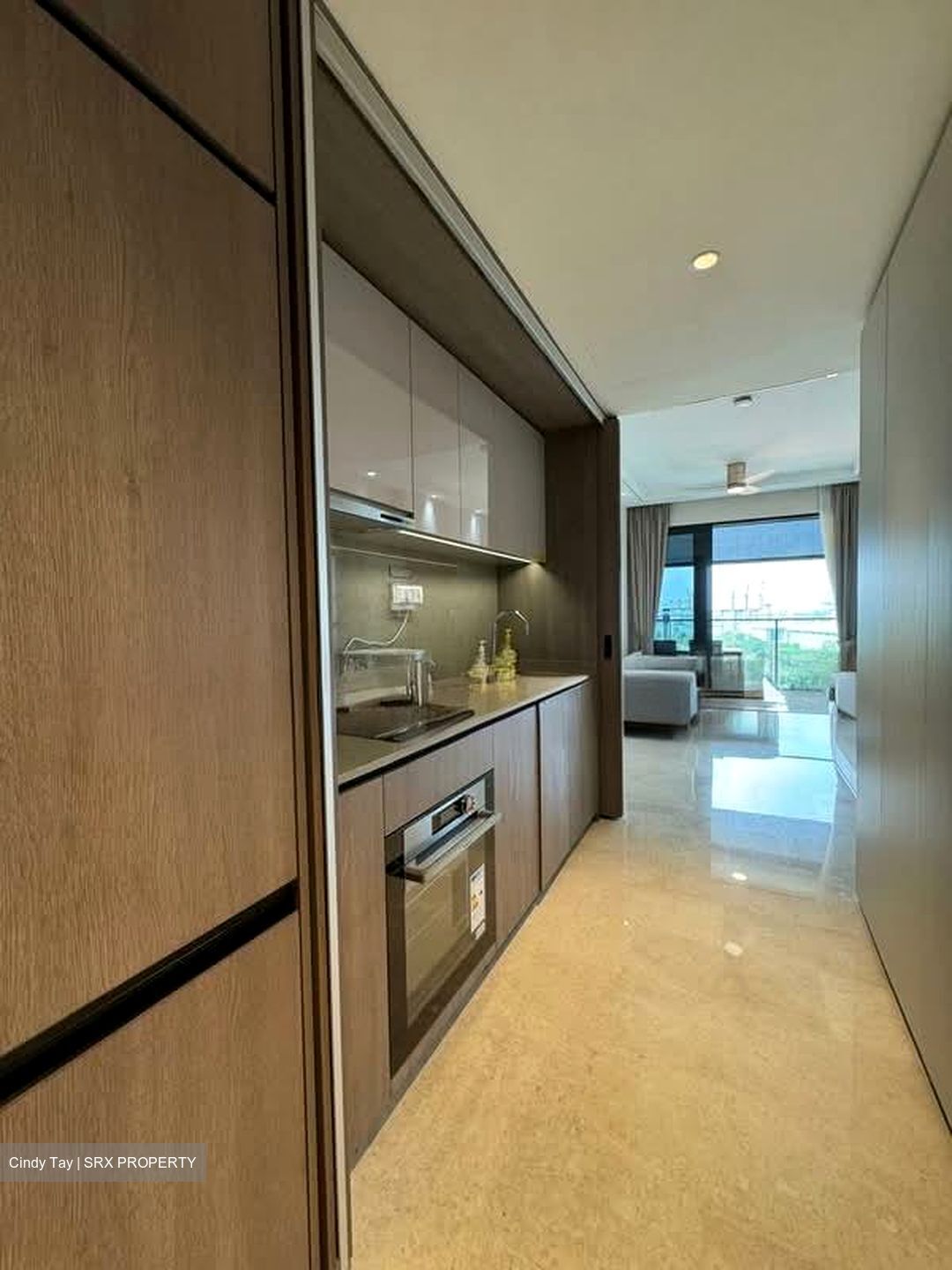 Avenue South Residence (D3), Apartment #547420321